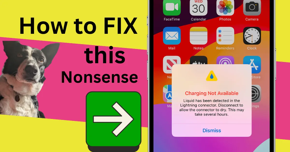 iPhone "Liquid Detected" Warning? The Real Fix (2026)